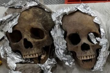 Four human skulls discovered in the post at Mexican airport