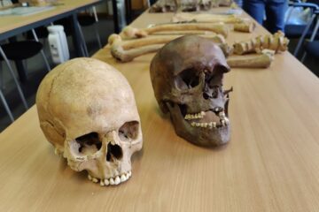 Remains of bodies from the Battle of Waterloo found in Belgian attic