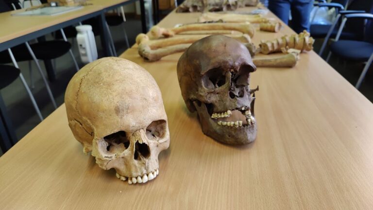 Remains of bodies from the Battle of Waterloo found in Belgian attic