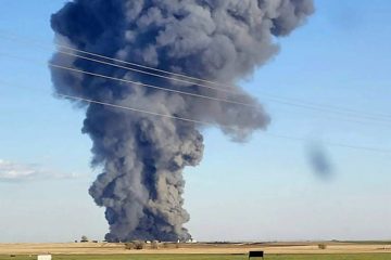 18,000 cows killed in dairy farm explosion in Texas